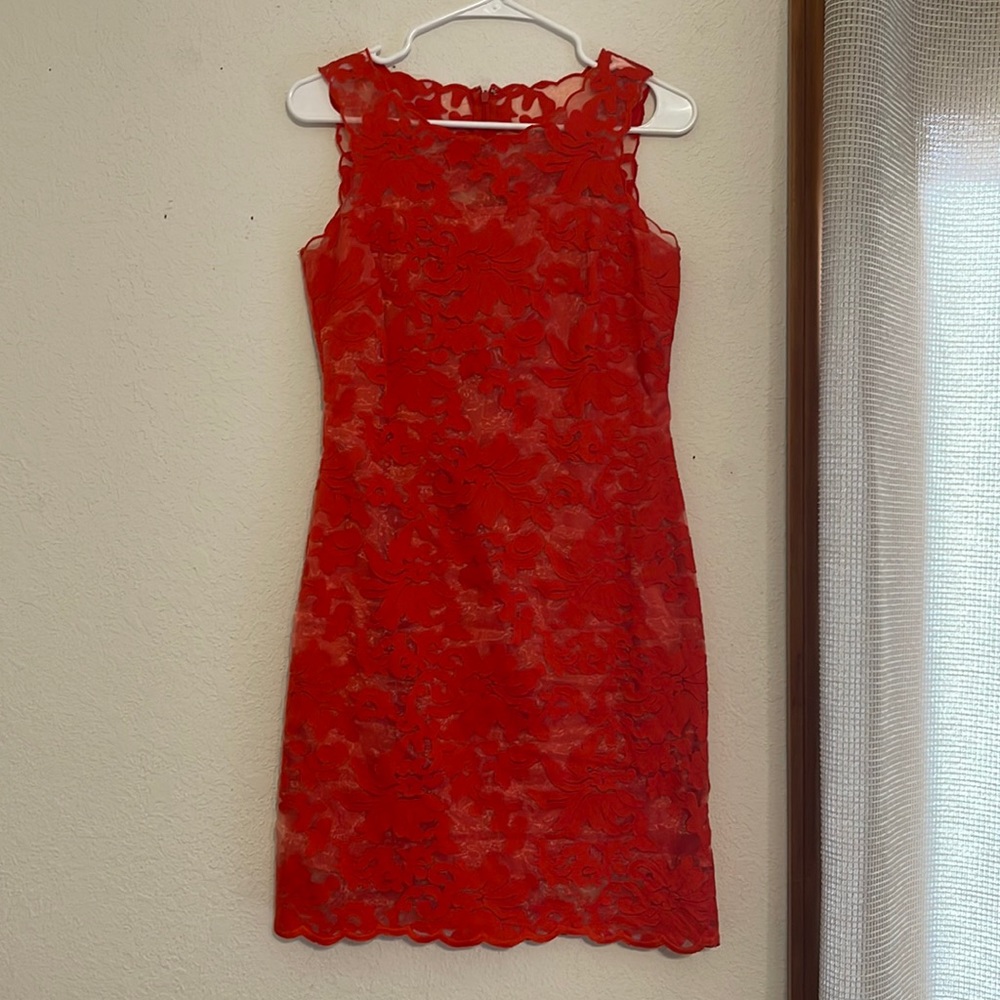 Gianni Bini Burnt Orange Lace Knee Length Dress